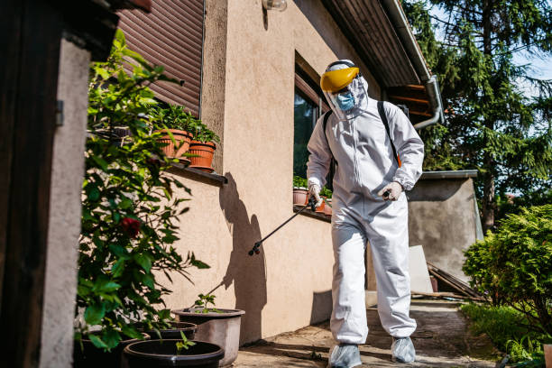 Best Pest Prevention Services  in Shinglehouse, PA