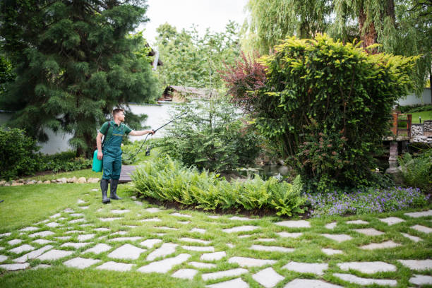 Reliable Shinglehouse, PA Pest Control Solutions