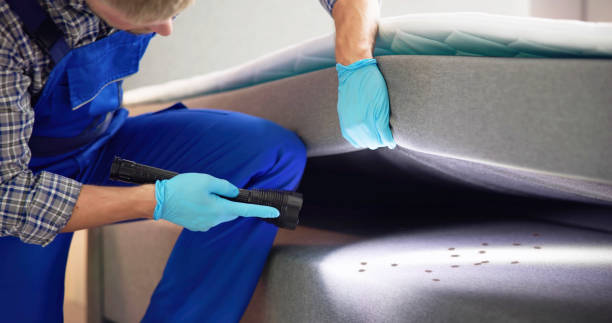 Best Pest Control Near Me  in Shinglehouse, PA