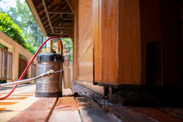 Best Pest Removal Services  in Shinglehouse, PA