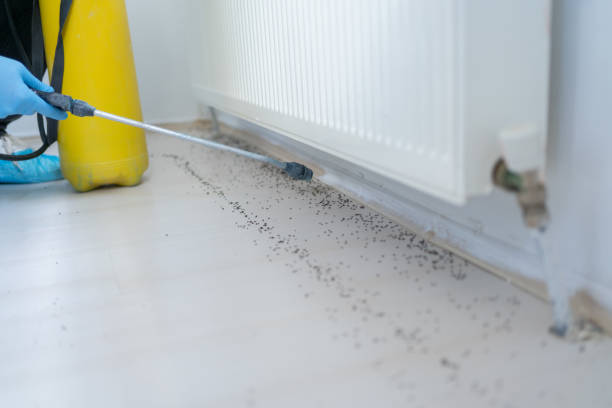 Best Wildlife Control Services  in Shinglehouse, PA